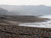 F, Pas-de-Calais, Wissant 28, Saxifraga-Foto Fitis-Sytske Dijksen