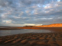 F, Pas-de-Calais, Wissant 48, Saxifraga-Foto Fitis-Sytske Dijksen