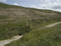 F, Seine-Maritime, Etretat, Valleuse d Antifer 37, Saxifraga-Willem van Kruijsbergen