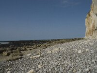 F, Seine-Maritime, Saint-Pierre-en-Port 29, Saxifraga-Willem van Kruijsbergen