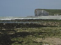 F, Seine-Maritime, Veulettes-sur-Mer 11, Saxifraga-Willem van Kruijsbergen