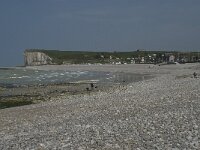 F, Seine-Maritime, Veulettes-sur-Mer 24, Saxifraga-Willem van Kruijsbergen