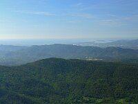 F, Var, Bargemon, Col du Bel Homme 3, Saxifraga-Hans Dekker