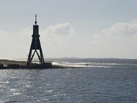 D, Hamburg, Hamburg, Neuwerk 5, Saxifraga-Foto Fitis-Sytske Dijksen