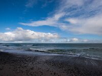 D, Schleswig-Holstein, Helgoland 40, Saxifraga-Bart Vastenhouw