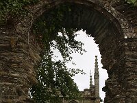 GB, Cornwall, Bodmin 3, Saxifraga-Foto Fitis-Sytske Dijksen