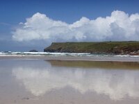 GB, Cornwall, Hayle 7, Saxifraga-Foto Fitis- Sytske Dijksen