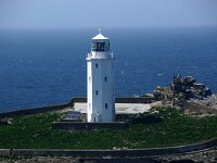 GB, Cornwall, Hayle, Godrevy Island 1, Saxifraga-Foto Fitis-Sytske Dijksen