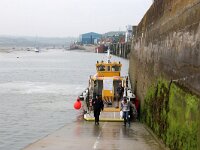 GB, Cornwall, Padstow,  Quin Bay 1, Saxifraga-Foto Fitis-Sytske Dijksen