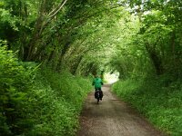 GB, Cornwall, Padstow, Camel Trail 1, Saxifraga-Foto Fitis-Sytske Dijksen