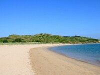 GB, Cornwall, Padstow, SW Coastpath, Doyden Point 5, Saxifraga-Foto Fitis-Sytske Dijksen