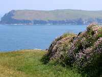 GB, Cornwall, Padstow, SW Coastpath, Trevone Bay 1, Saxifraga-Foto Fitis-Sytske Dijksen