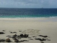 GB, Cornwall, Penwith, Sennen Coast 2, Saxifraga-Foto Fitis- Sytske Dijksen