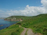GB, Cornwall, Penzance, SW Coastpath, Sennen Cove-Pendeen 7, Saxifraga-Foto Fitis-Sytske Dijksen