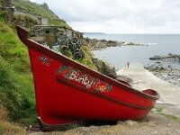 GB, Cornwall, Penzance, Sennen Cove 4, Saxifraga-Foto Fitis-Sytske Dijksen