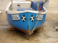 GB, Cornwall, Penzance, Sennen-Landsend 2, Saxifraga-Foto Fitis-Sytske Dijksen