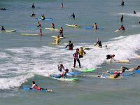 GB, Cornwall, Polzeath 2, Saxifraga-Foto Fitis-Sytske Dijksen