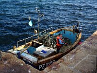 GB, Cornwall, Porthleven, harbour 1, Saxifraga-Foto Fitis-Sytske Dijksen
