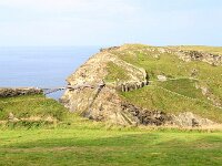 GB, Cornwall, Tintagel, Castle of Tintagel 1, Saxifraga-Sytske Dijksen