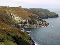GB, Cornwall, Tintagel, SW Coastpath, Willapark 3, Saxifraga-Foto Fitis-Sytske Dijksen