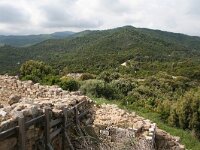 GR, Chalcidice, Aristotelis, Stageira 4, Saxifraga-Dirk Hilbers