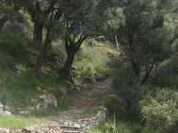 GR, Chalcidice, Aristotelis, Stageira 5, Saxifraga-Dirk Hilbers