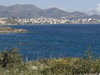 GR, Lassithi, Oropedio Lasithiou, Agios Nikolaos 6, Saxifraga-Jan van der Straaten