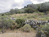 GR, Lesbos, Mytilini, near Limonos Monastery 1, Saxifraga-Tom Heijnen
