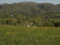 GR, Rethimnon, Agois Vasileios, Koxare 5, Saxifraga-Willem van Kruijsbergen