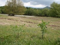 GR, Rodopi, Lasmos 5, Saxifraga-Dirk Hilbers