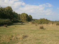 GR, Rodopi, Lasmos, Nestos Delta 30, Saxifraga-Dirk Hilbers