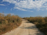 GR, Rodopi, Lasmos, Nestos Delta 41, Saxifraga-Dirk Hilbers