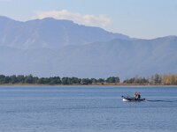 GR, Rodopi, Lasmos, Nestos Delta 5, Saxifraga-Dirk Hilbers