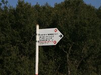 GR, Serres, Sindiki, Limni Kerkini 2, Saxifraga-Dirk Hilbers