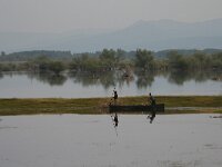 GR, Serres, Sindiki, Limni Kerkini 48, Saxifraga-Dirk Hilbers
