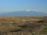 GR, Xanthi, Abdera, Porto Lagos 25, Saxifraga-Dirk Hilbers