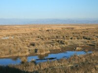 GR, Xanthi, Abdera, Porto Lagos 26, Saxifraga-Dirk Hilbers