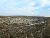 GR, Xanthi, Abdera, Porto Lagos 30, Saxifraga-Dirk Hilbers