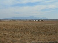 GR, Xanthi, Abdera, Porto Lagos 32, Saxifraga-Dirk Hilbers