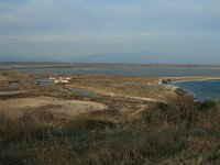 GR, Xanthi, Abdera, Porto Lagos 43, Saxifraga-Dirk Hilbers