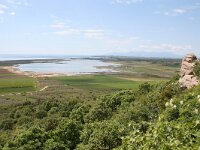 GR, Xanthi, Abdera, Porto Lagos 51, Saxifraga-Dirk Hilbers