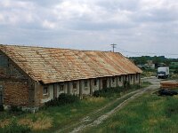 H, Gyor–Moson–Sopron, Cikes, NP Ferto-Hansag 3, Saxifraga-Jan van der Straaten