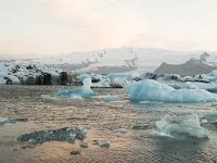 IS, Austurland, Hornafjoerdur, Jokulsarlon 13, Saxifraga-Peter Stein