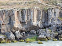 IS, Nordurland eystra, Nordurbing, Godafoss 12, Saxifraga-Mira Hoogenboom