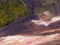 IS, Nordurland eystra, Nordurbing, Peistareykir 1, Saxifraga-Dick Hoogenboom