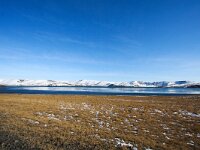 IS, Sudurland, Blaskogabyggd, Tingvellir 24, Saxifraga-Bart Vastenhouw