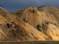 IS, Sudurland, Hella, Landmannalaugar 17, Saxifraga-Mira Hoogenboom
