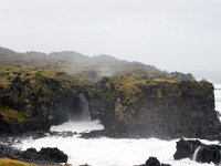 IS, Vesturland, Snaefellsbaer, Hellnar 2, Saxifraga-Dick Hoogenboom