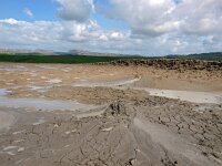 I, Agrigento, Aragona Malacube 2, Saxifraga-Hans Dekker