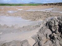 I, Agrigento, Aragona Malacube 8, Saxifraga-Hans Dekker